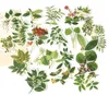 Vintage-Blätter und Blumen-Aufkleber – Washi-Aufkleber – Produktbild-Vorschau 2