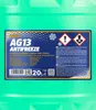 A close-up of a green plastic container with a blue label showing product information and safety symbols. Produktbild-Vorschau