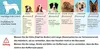 EUGAD Hundetransportbox Alu Hundebox Reisebox Autobox für Produktbild-Vorschau 4