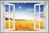 Wallario Wandbild mit Fenster-Illusion: Weizenfeld unter Produktbild-Vorschau 1