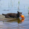 Beeztees Apportino Ball - Hundespielzeug - orange - Produktbild-Vorschau 3