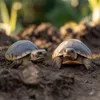 Aventerra Sweden TESTUDO Baby 4l - substrato per giovani Anteprima dell’immagine prodotto 3