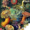 Cenega Imagination, 1000 kusov, Umenie Náhľad obrázku produktu 1