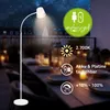 Lampada da terra a LED senza fili Lampada da terra a LED Anteprima dell’immagine prodotto 2
