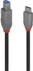 LINDY USB 3.2 Kabel Typ C/B Anthra Line 2m Produktbild-Vorschau 1