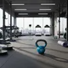 tiguar kettlebell 10 kg Voir les images du produit 11