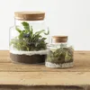 Skleněná váza s korkem do lesa ve sklenici, výška 21,5 cm Náhled obrázku produktu 2
