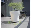 Prosperplast Pflanzenuntersetzer - rund - 35 cm - anthrazit Produktbild-Vorschau 8