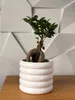 Keramik Zylinder Blumentopf 13 cm weiß Produktbild-Vorschau 2
