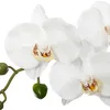 Bílá umělá orchidej v květináči, výška 53 cm Náhled obrázku produktu 2