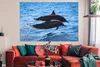 MuchoWow® Poster Delfin - Meer - Tier 180x120 cm - Produktbild-Vorschau 2