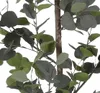 Mica Decorations Eucalyptus Kunstpflanze in Blumentopf - Produktbild-Vorschau 3