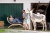 AMAZONAS Loungesofa Siena Due Anthracite inkl. Sitzkissen Produktbild-Vorschau 9