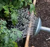 Zinkgießkanne 10 l silber Stahlblech verzinkt Garten Produktbild-Vorschau 8