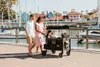 Wonderfold Elite Quad Bollerwagen - Fb. volcao nero Anteprima dell’immagine prodotto 6