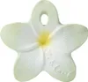 Oli&carol Bali The Flower Anneau de dentition Marron  Voir les images du produit 2