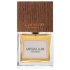 Carner Barcelona Megalium EDP 100 ml UNISEX Anteprima dell’immagine prodotto 3