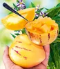 A hand holding a pepino melon, with cut pieces of the fruit in a hollowed-out melon and a spoon in another piece. There are also purple flowers and green leaves in the background. Produktbild-Vorschau