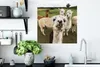 MuchoWow® Poster Lama - Selfie - Gras 50x50 cm - Produktbild-Vorschau 3