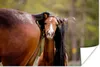 MuchoWow® Poster Pferde - Natur - Braun 120x80 cm - Bilder Produktbild-Vorschau 1