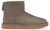 Botki UGG Classic Mini II, kolor Caribou, damskie - rozmiar Podgląd zdjęcia produktu 1