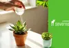 Kule nawadniające do kwiatów i roślin, dozownik FLOWER Podgląd zdjęcia produktu 10