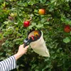 Maximex Obstsammler XL mit Teleskopstiel, 270º-Knickgelenk Produktbild-Vorschau 9