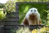 MuchoWow® Produktbild-Vorschau 5