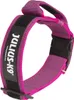 Collare per cani Julius K9 40 mm 38-53 cm Rosa Anteprima dell’immagine prodotto 2