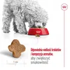 Royal Canin Mini Adult 8+ 2kg Anteprima dell’immagine prodotto 4
