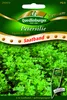 Petersilie Gigante d` Italia von Quedlinburger Saatgut Produktbild-Vorschau 3