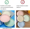 Talíře z pšeničné slámy/sada 4 kusů, 20 cm, biologicky Náhled obrázku produktu 5