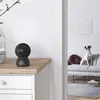 A black security camera sits on a wooden table next to a vase with flowers. In the background, a dog sits on a sofa in a living room. Produktbild-Vorschau