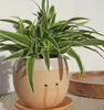 A spider plant in a decorative ceramic pot with a smiling face design. Produktbild-Vorschau