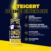 PULS Nutrition Energie Shot Ingwer 60ml, 12er Pack – Produktbild-Vorschau 2