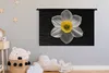 MuchoWow® Wandteppich Wandbehang Eine weiße Narzissenblüte Produktbild-Vorschau 3