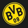 BVB Kulturbeutel 2026 Schwarz 100% Polyester mit Emblem Produktbild-Vorschau 2