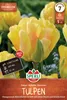 SPERLI Premium Gefüllte Späte Tulpe Akebono Tulipa hybrids Produktbild-Vorschau 1