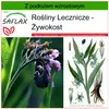 SAFLAX - Żywokost - 15 Nasiona - Z podłożem uprawowym Podgląd zdjęcia produktu 10