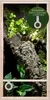 Repiterra® Hochterrarium Chamäleon Holzterrarium OSB Holz Produktbild-Vorschau 1