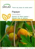 SAFLAX  - Papayer - 30 graines - Carica Voir les images du produit 1