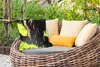MuchoWow® Outdoor Kissen - Schottisches Hochlandrind - Produktbild-Vorschau 3