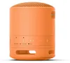 Colonna sonora Sony SRS-XB100D Anteprima dell’immagine prodotto 2