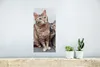 MuchoWow® Poster Katze - Kätzchen - Fell 20x40 cm - Plakat Produktbild-Vorschau 5