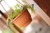 A hanging plant pot with blue flowers on a wooden structure. Produktbild-Vorschau