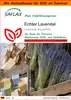 SAFLAX Garden in the bag - Echter Lavendel - Lavandula Produktbild-Vorschau 1