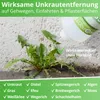 Nanoprotect Unkrautvernichter Grundstoff Essig/Acetum - 1 Produktbild-Vorschau 3