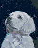 Diamondi - Diamond painting - WEIßES HUNDEWELPCHEN, 40X50 Produktbild-Vorschau 1