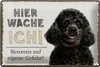 Blechschild Hinweis Pudel hier wache ich eigene Gefahr, 30 Produktbild-Vorschau 1