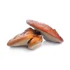 MycoMedica Reishi extrakt, 50 % polysacharidů a 20 % Náhled obrázku produktu 2